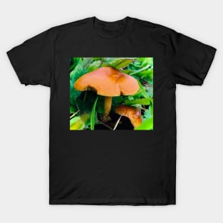 Mushroom Photography Prints #2 T-Shirt